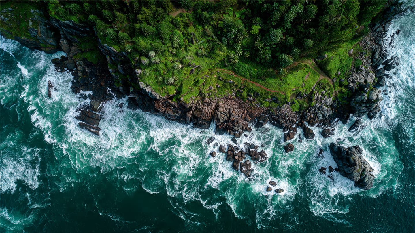 Where the First Morning Light Touches the Sea, A Sanctuary for the Ancient Deep