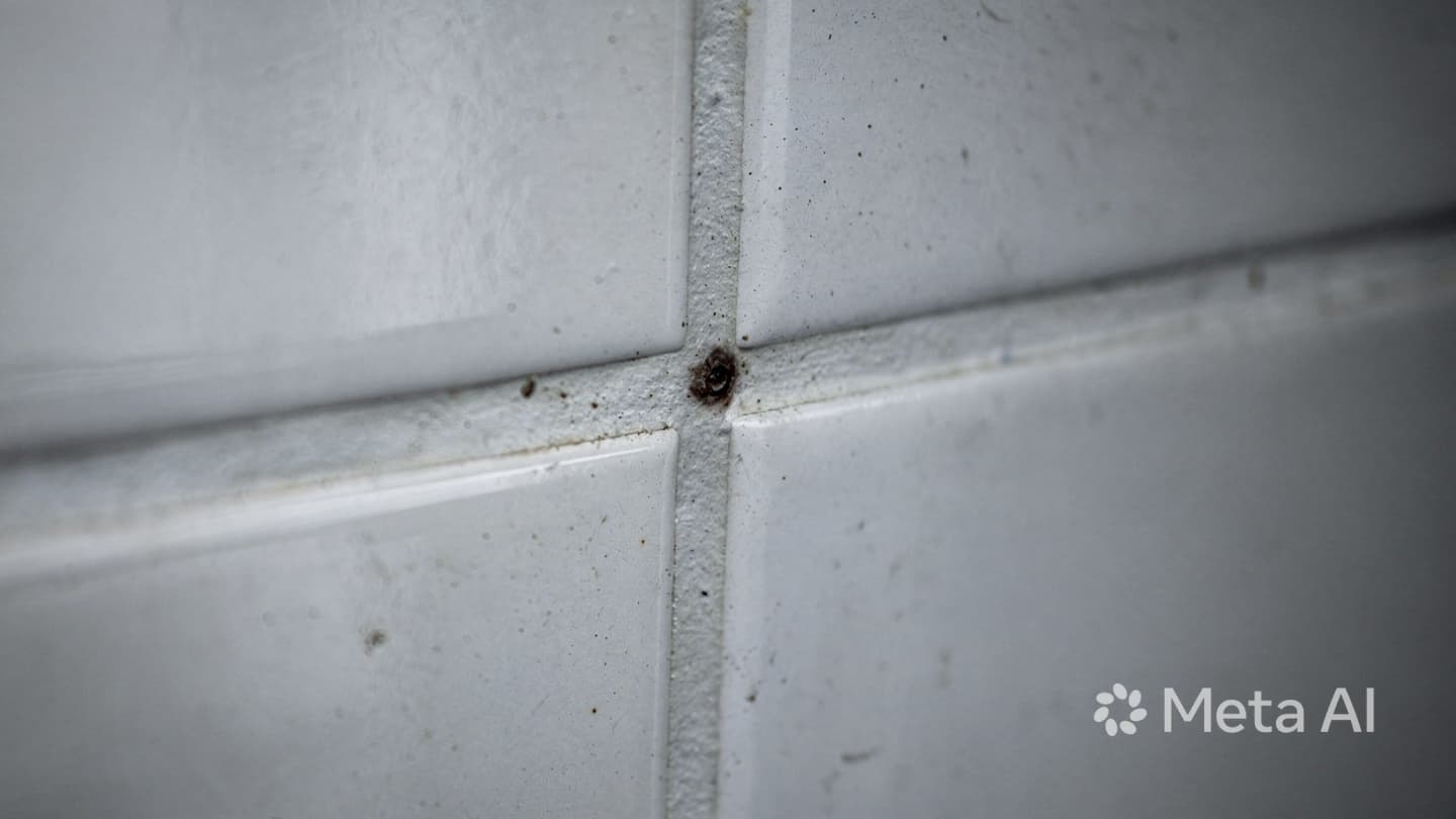 An Intrusion Into the Quietest Moments: Reflections on a Hidden Discovery in Christchurch