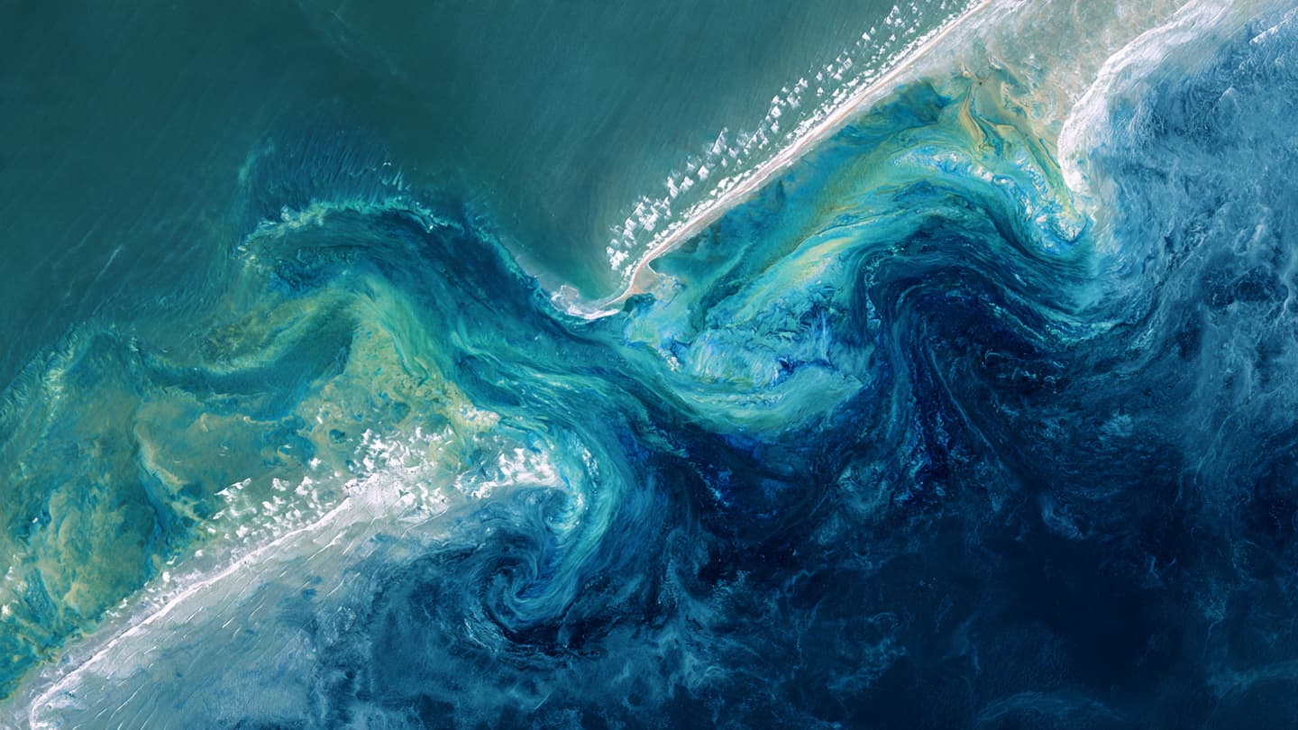 Along the Mid-Atlantic, The Ocean Has Begun Speaking in Unexpected Colors