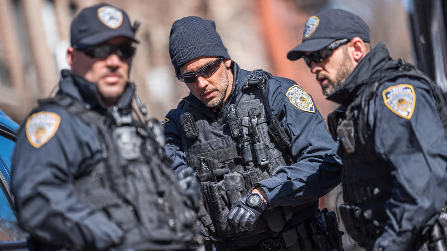 When hidden networks surface, what do coordinated arrests quietly reveal?