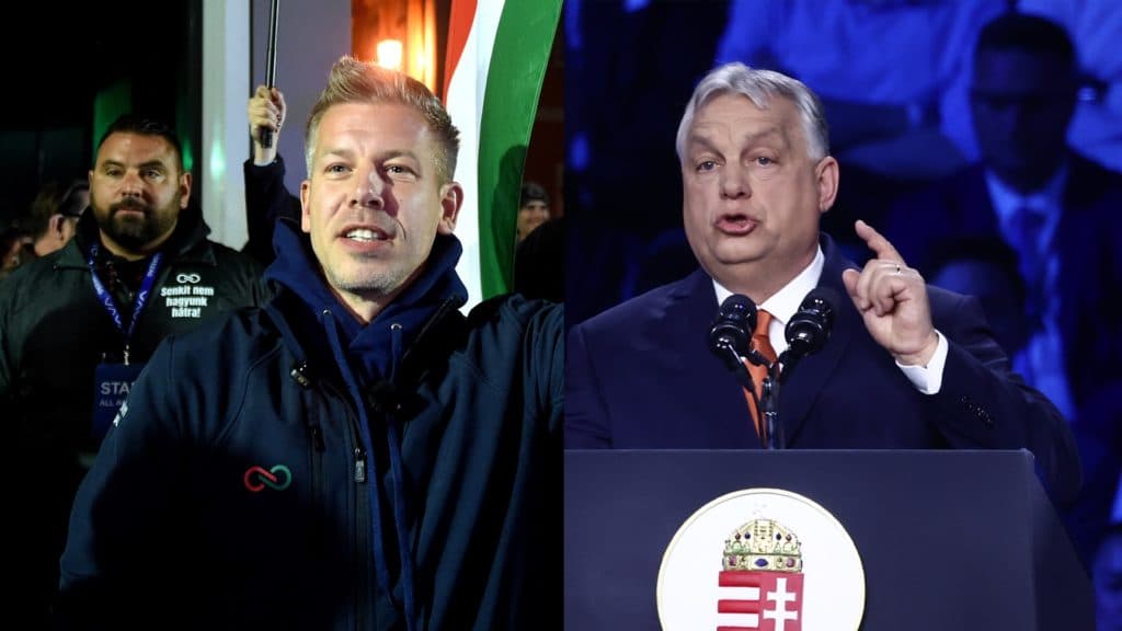 Zebras, Wealth, and Power: Hungary’s Election Challenges Orbán’s Grip on Authority