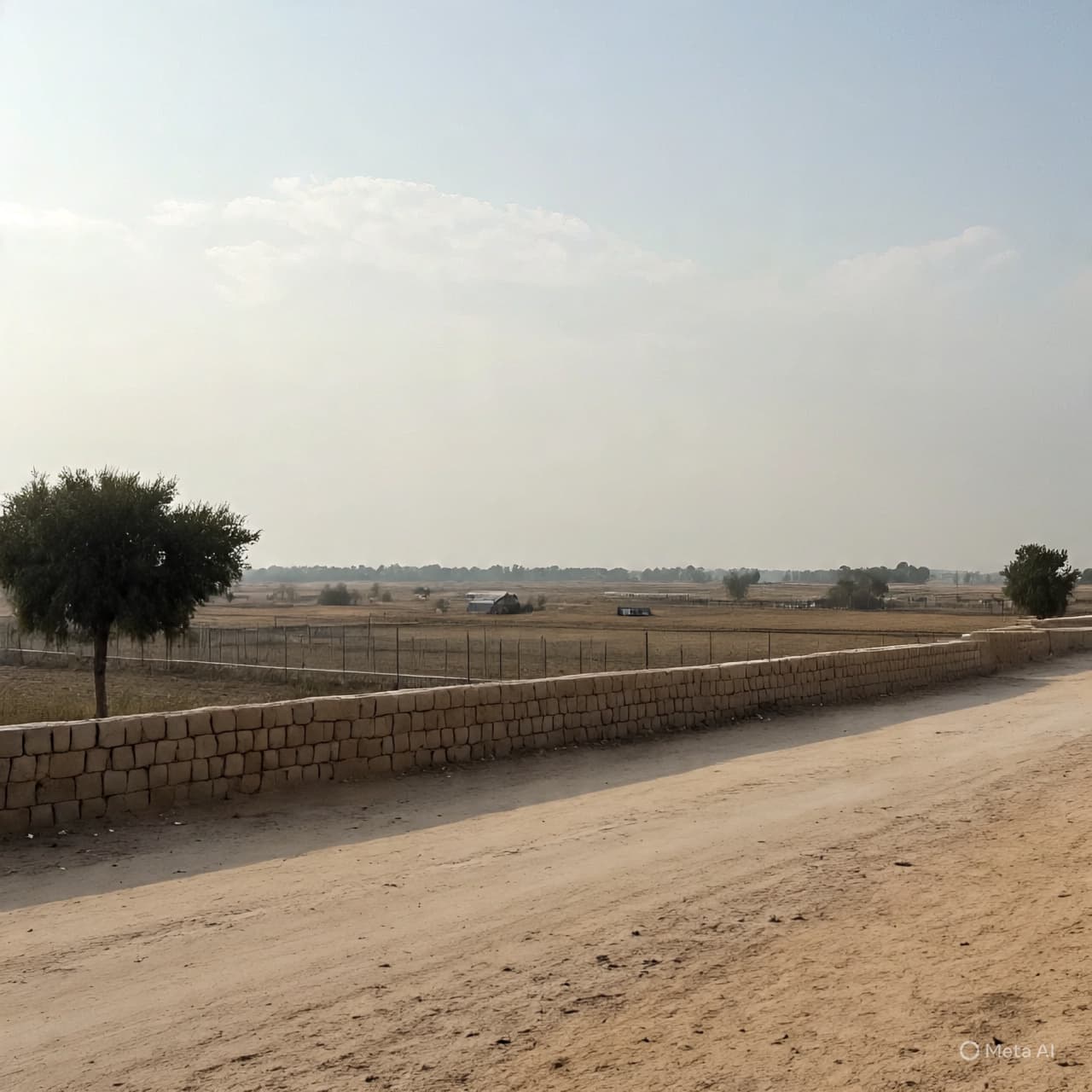 When Light Fades at the Crossing: Notes on Survival at Rafah