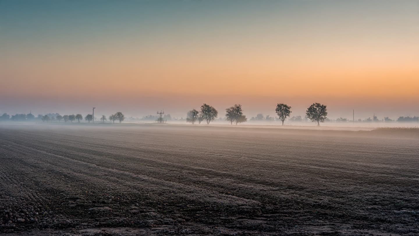 Between The Rusting Reeds And The Iron Vein: A Narrative Of Narrowly Averted Ruin