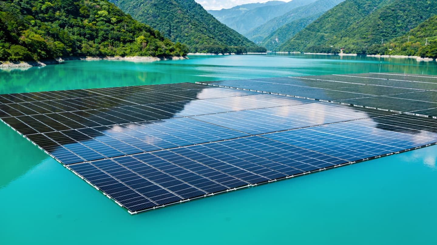 The Liquid Mirror of the Sun: When Floating Glass Captures the Light of Quiet Waters