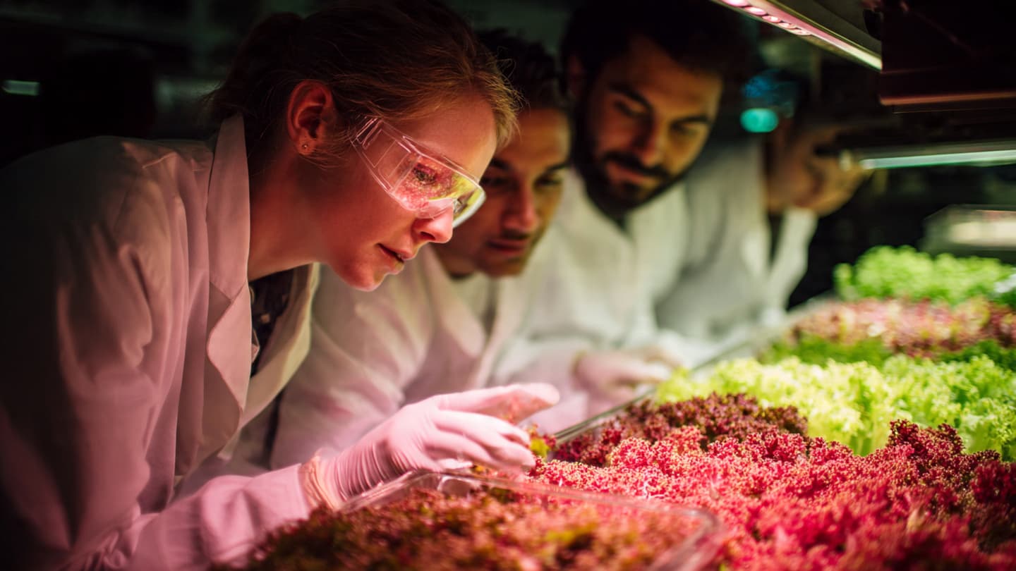 When Colors Fade, What New Nutrients Come Into View?