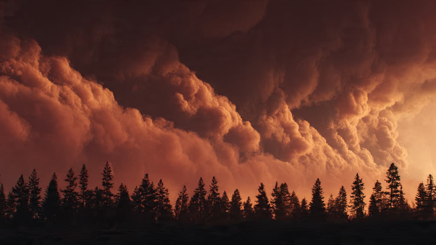 When the Boreal Forest Breathes Fire, Reflections on the Second Flight From Fort McMurray