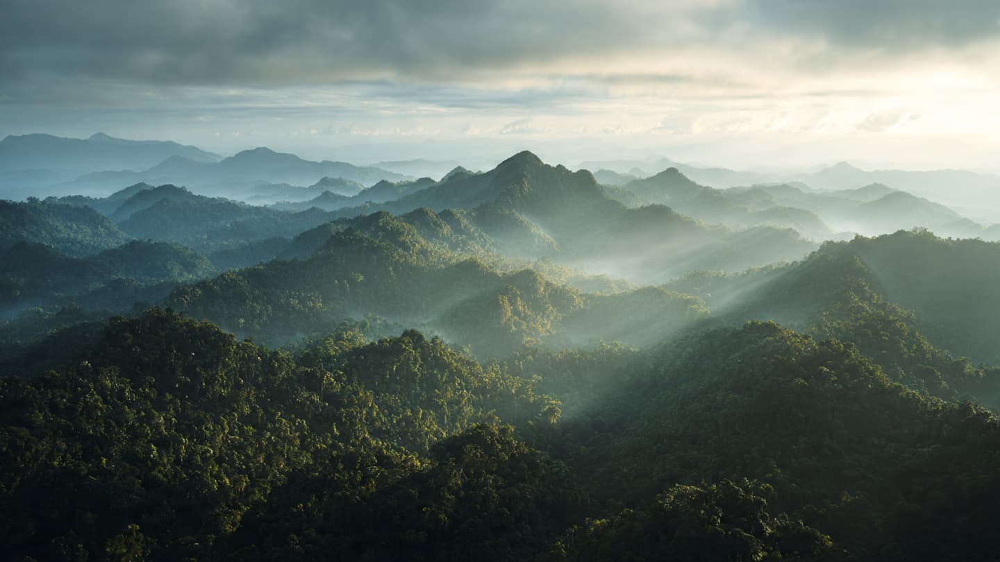 Between the Canopy and the Stone Where the Quiet Hills Felt the Shuddering Ground