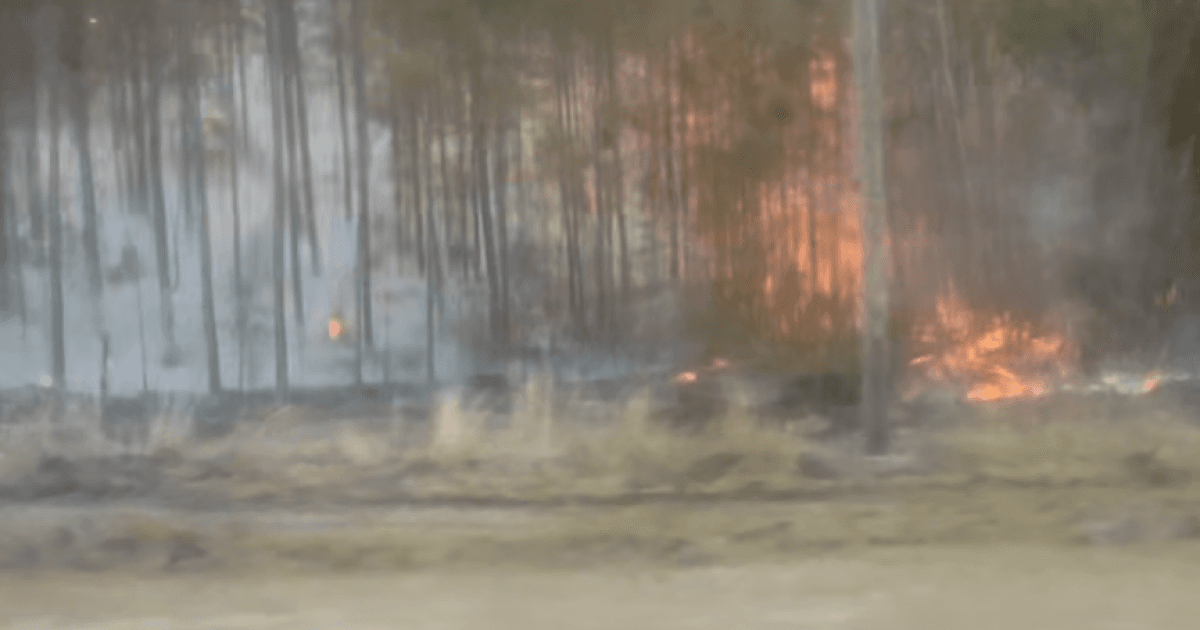 South Georgia Wildfires Destroy Over 120 Homes as Crews Battle the Nation's Most Dangerous Fires