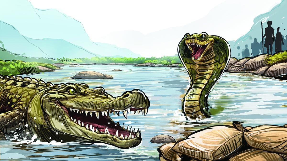 BSF Considers Snakes, Crocodiles to Curb Infiltration Along Bangladesh Border