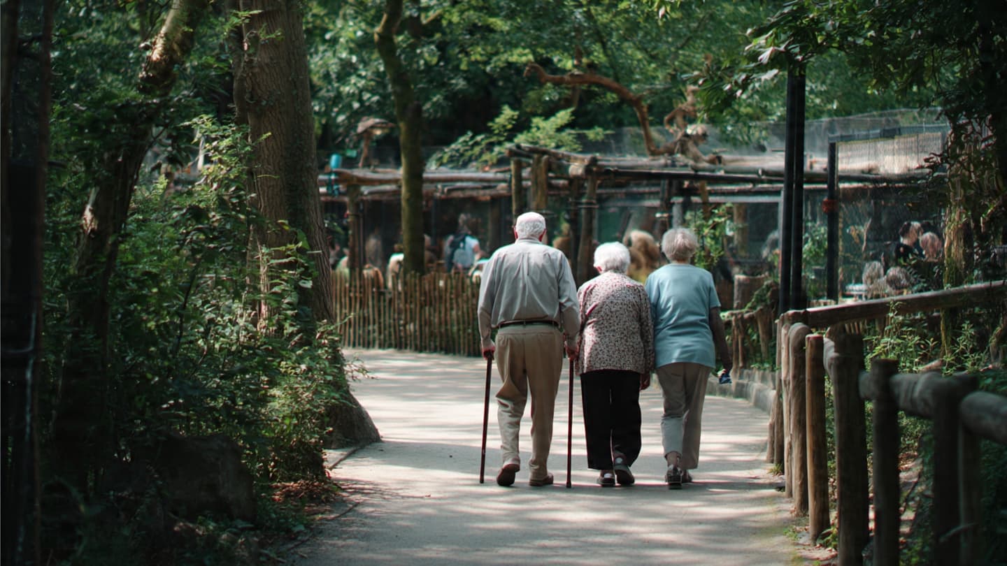 In Berlin, A Walk Among Animals Became Something Gentler Than Therapy