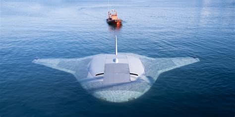 U.S.-Made AEGIR-W Military Sea Drone Found Near Ordu, Türkiye