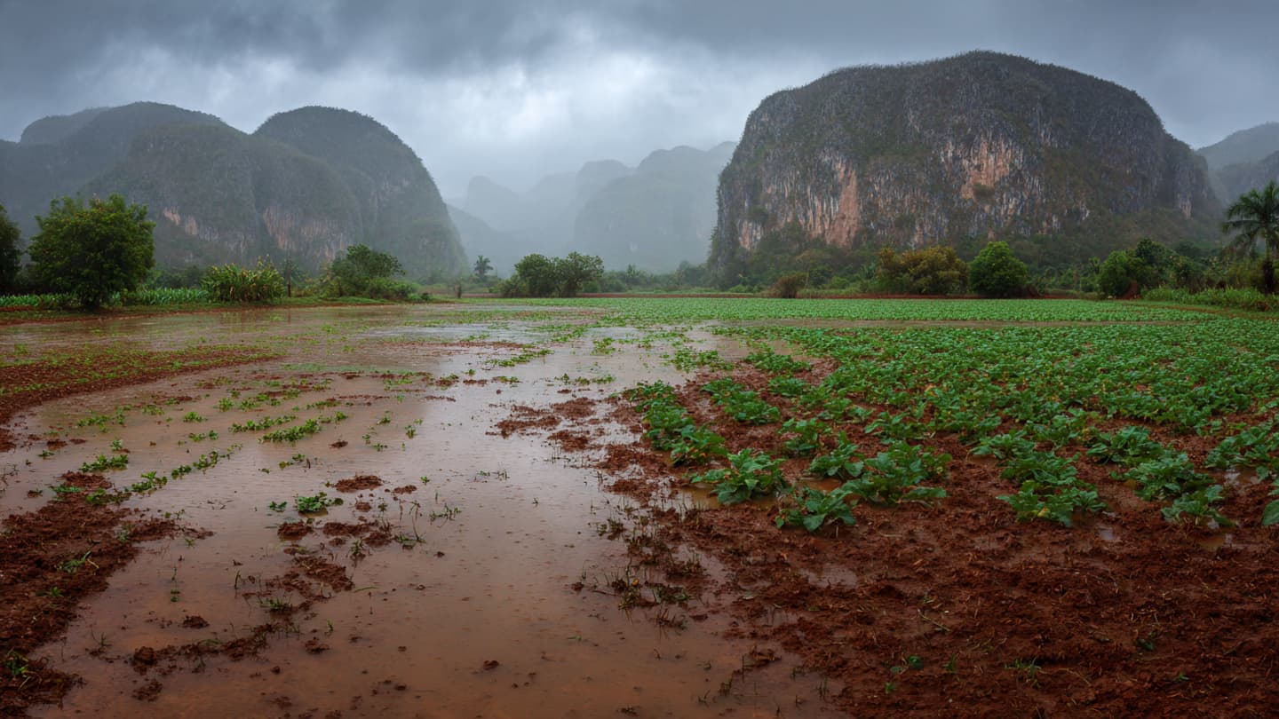 Between the Mogotes and the Rising Silt of a Saturated Western Valley