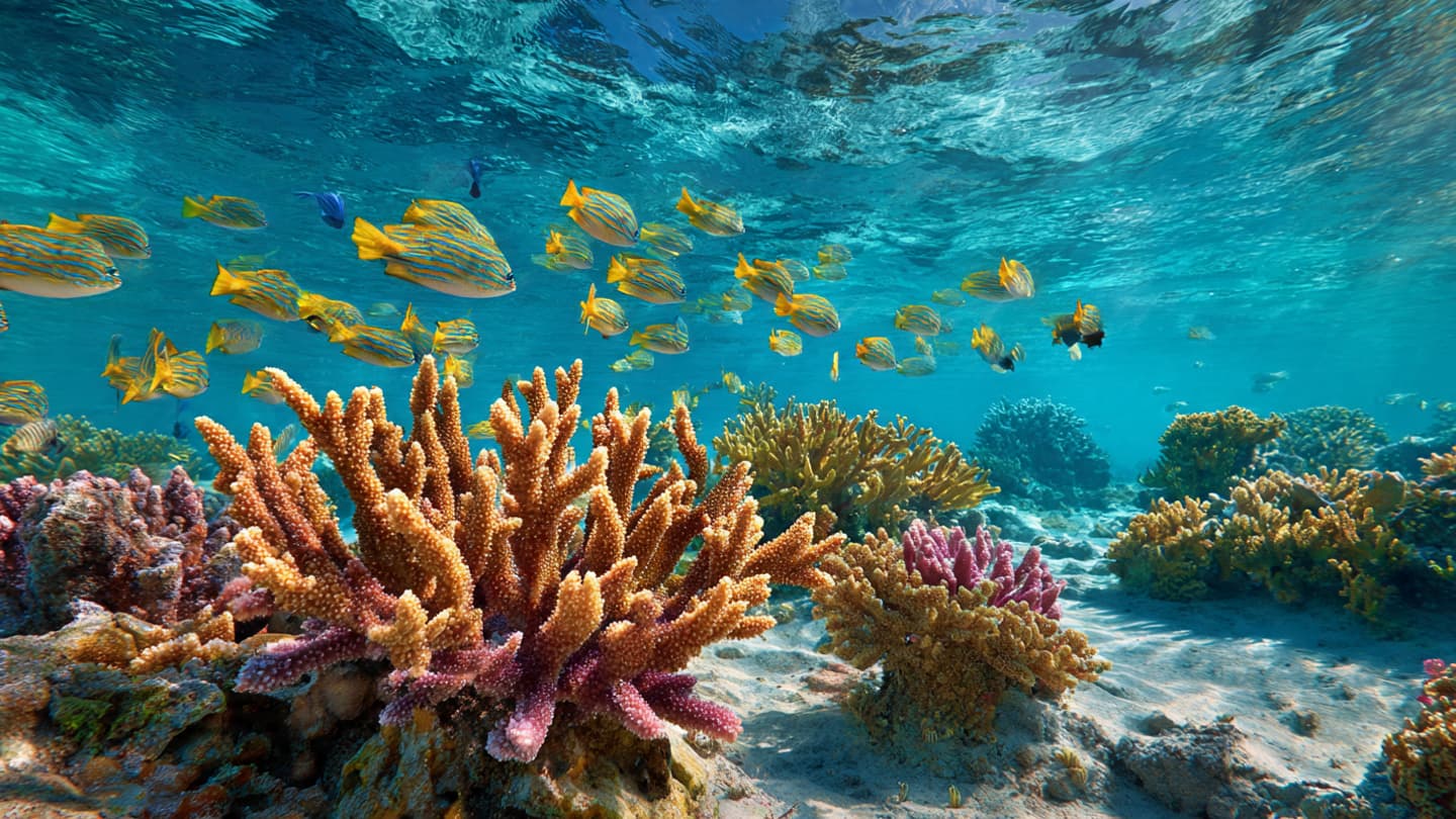 Where the Great Barrier Reef Breathes Again, A Silent Resilience Within the Coral Deep