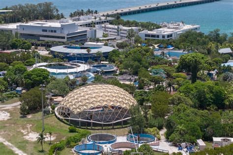 Ex-Miami Seaquarium Owner Eduardo Albor Reportedly Arrested in Cancun