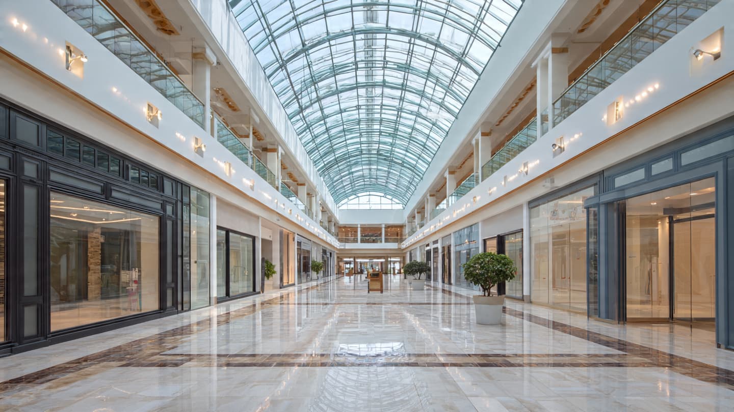 The Fragile Grace of the Market: Reflections on New Zealand’s Waning Consumer Confidence