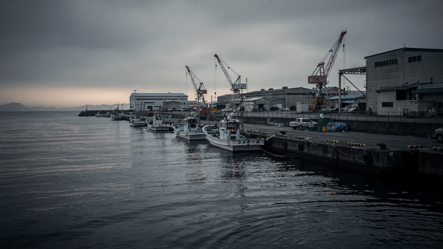 Where the Earth Shudders and the Deep Waters Rise: A Quiet Vigil Along Iwate Shores