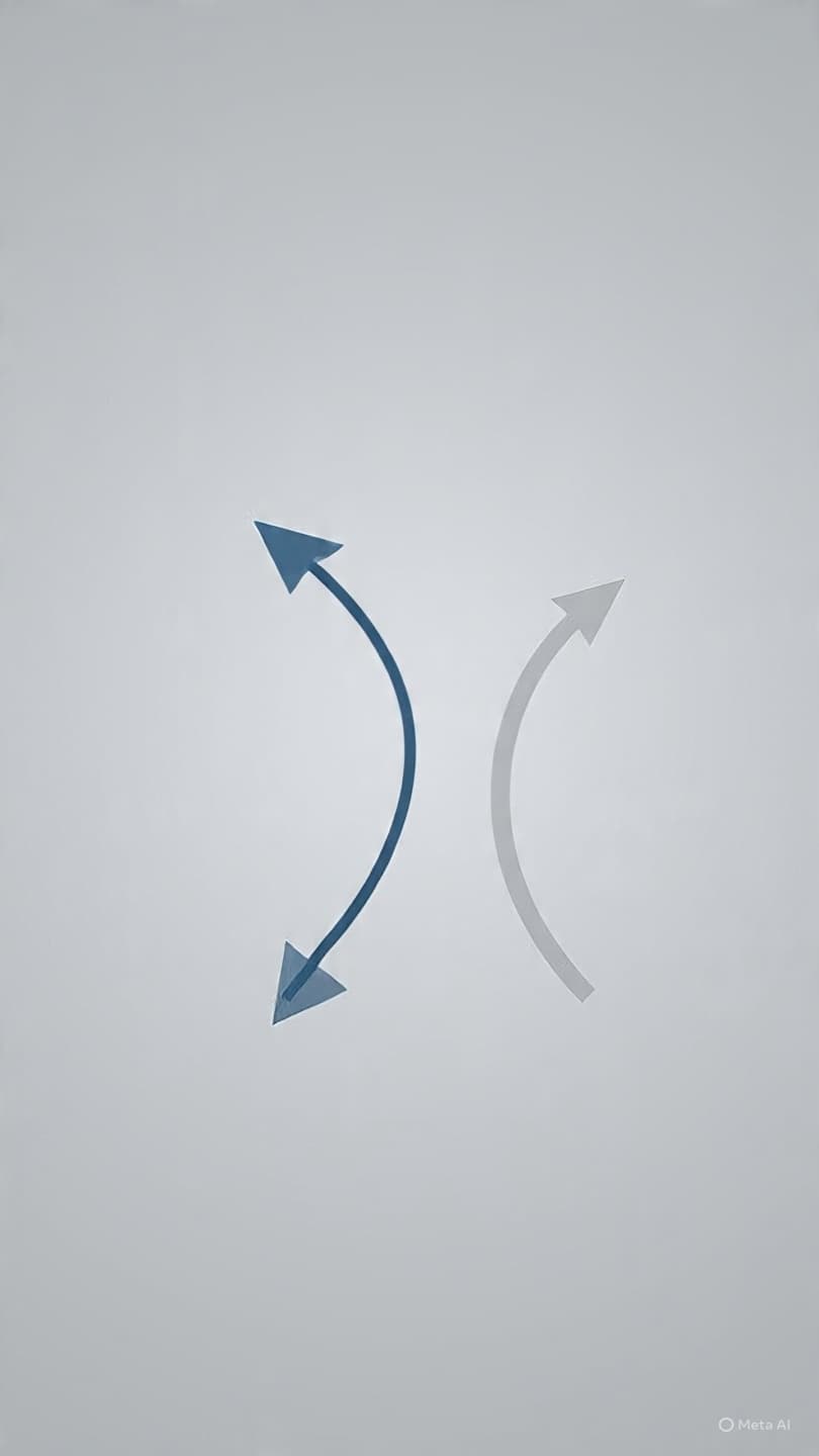 After the Statement Falls: Trump, the Pope, and the Quiet Cost of Political Alignment