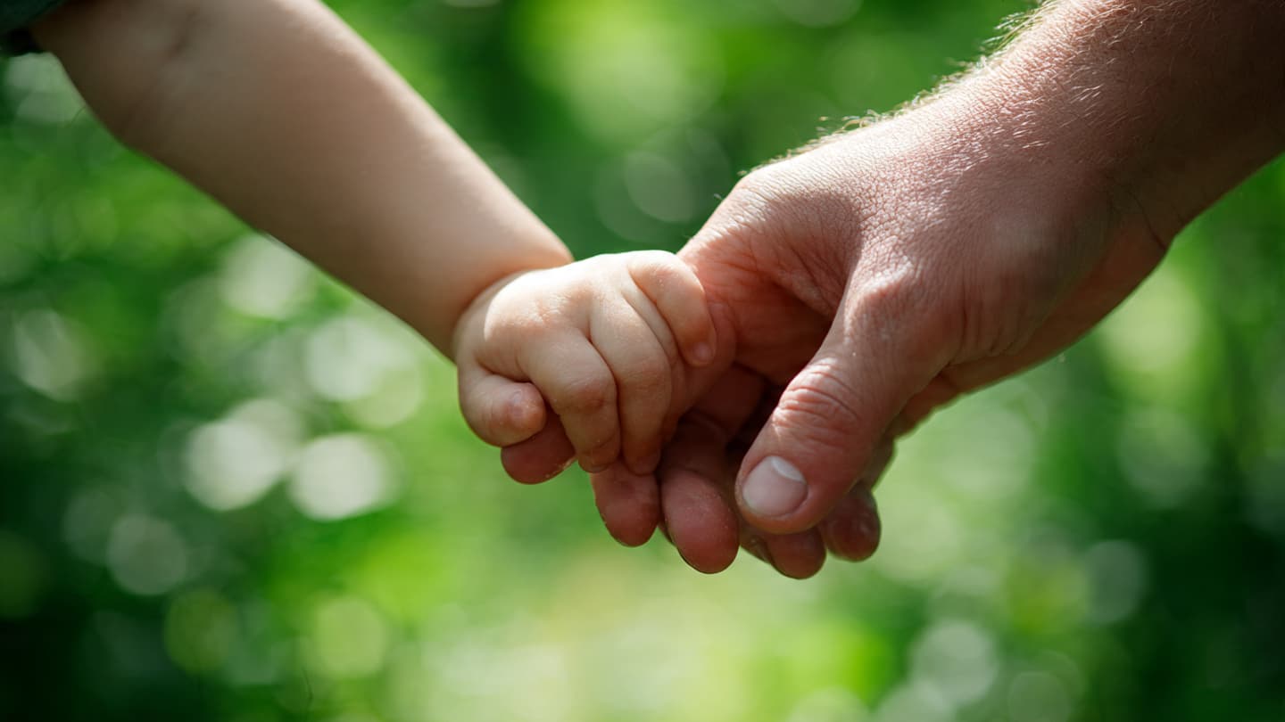 Between the Red Earth and the Rising Child, Mapping the Pulse of the Southern Soil