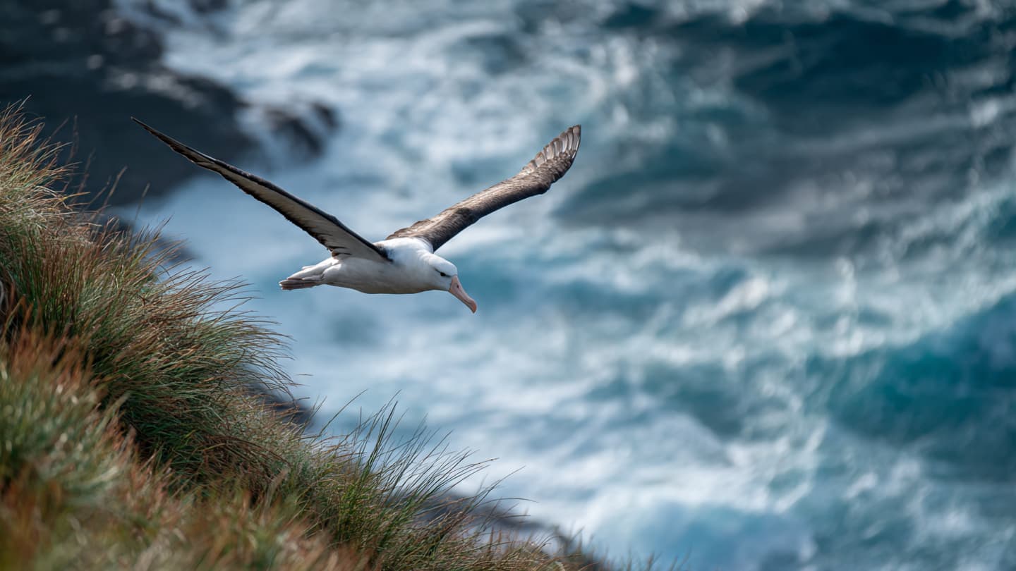 The Weight of the Wind Upon the Great Voyager, Reflections on a Coastguard Rescue Mission