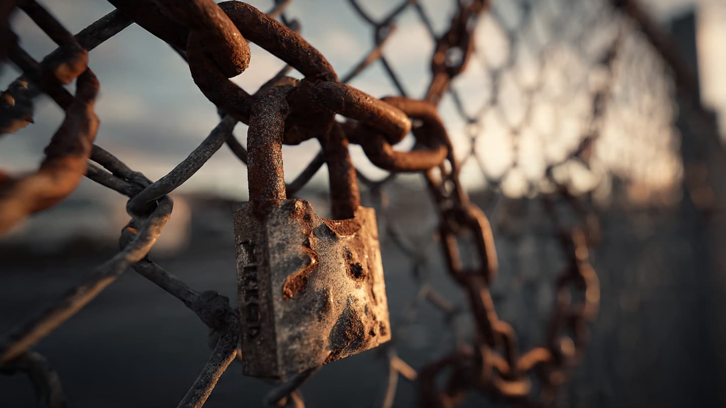 When the Wild Reclaims the Fence and the City Relearns the Meaning of Vigilance