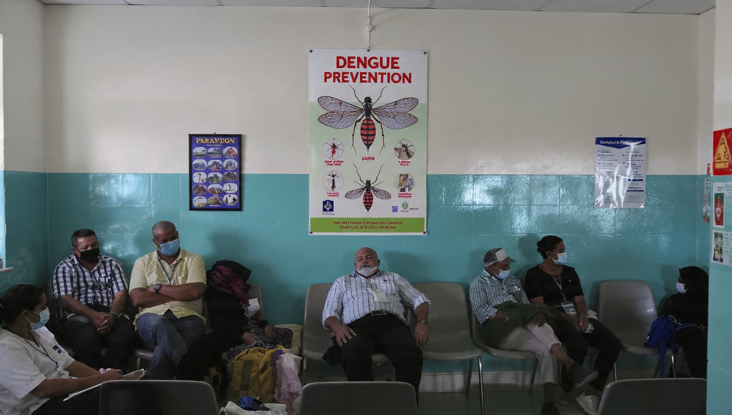 National Fumigation Campaign: Paraguay Combats Mosquito Surge to Prevent Large-Scale Dengue Epidemic