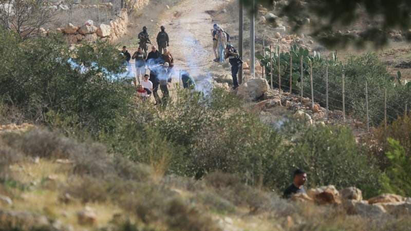 Jewish Settlers Burn Farms, Buildings in West Bank as Retaliation for Palestinian Stone Attack