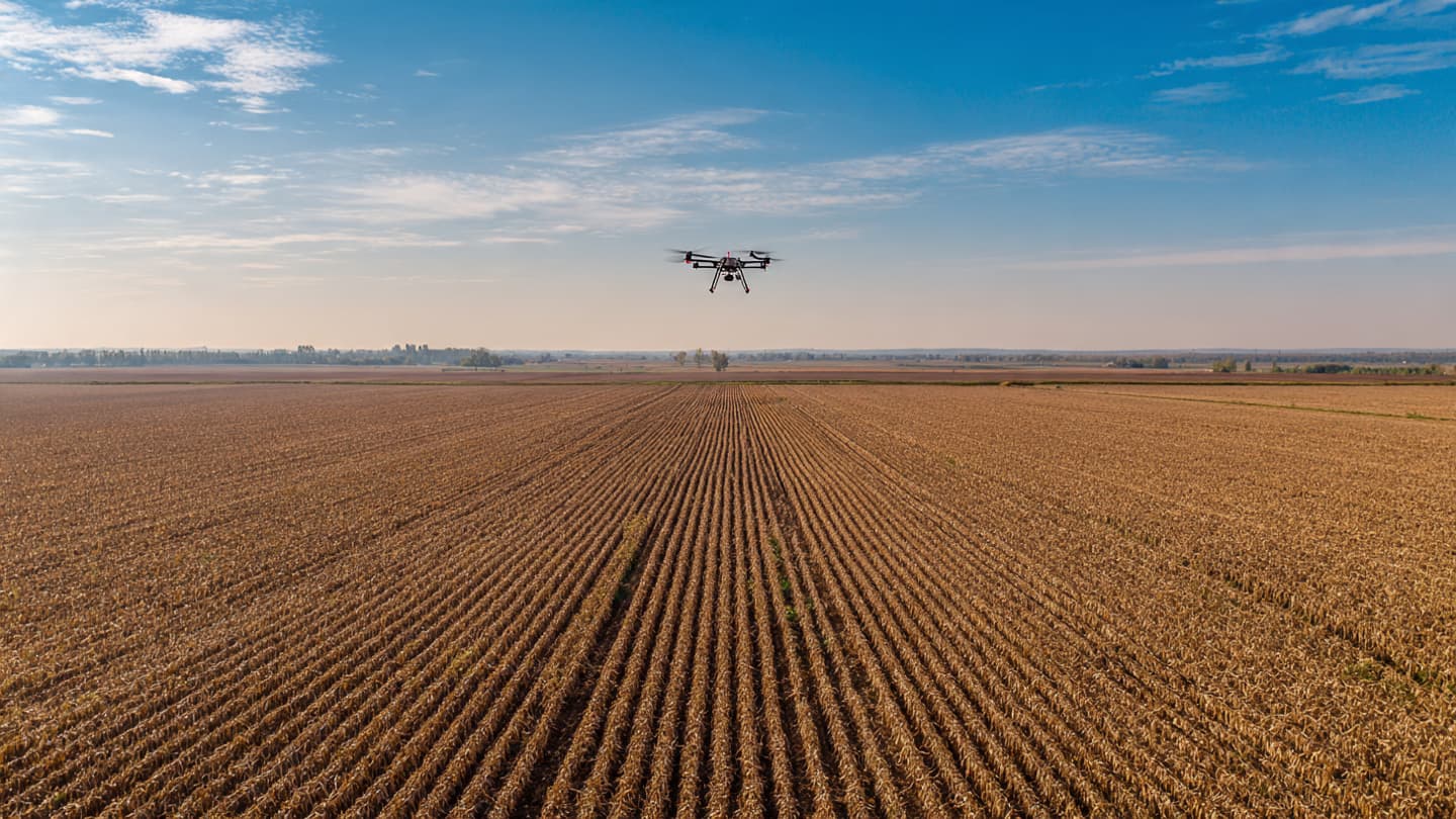 The Saffron Pulse of the Danube: Reflections on Serbia’s High-Tech Agribusiness Resurgence