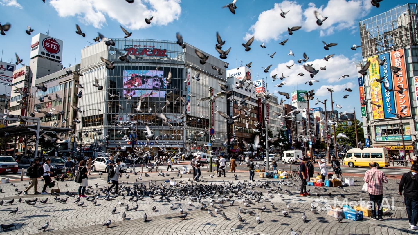 The Gray Wings of Osaka’s Sky: Reflections on a Quiet Conflict in the Public Square