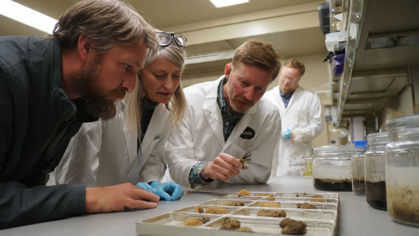 Beneath Australia’s Soil, a Quiet Agricultural Transformation Emerges