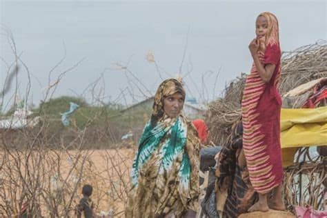 Europe Cannot Afford to Lose the Sahel