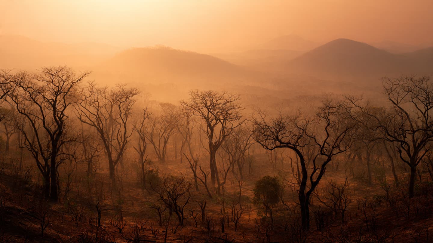 The Silent Witness of the Flame: A Meditation on a Changing Horizon