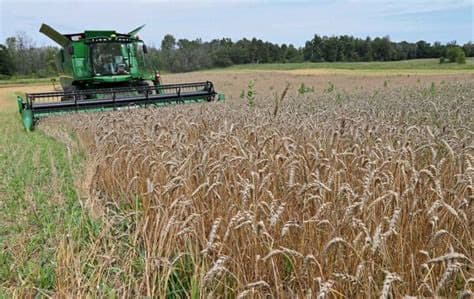 USDA Projects Smallest US Wheat Harvest Since 1972