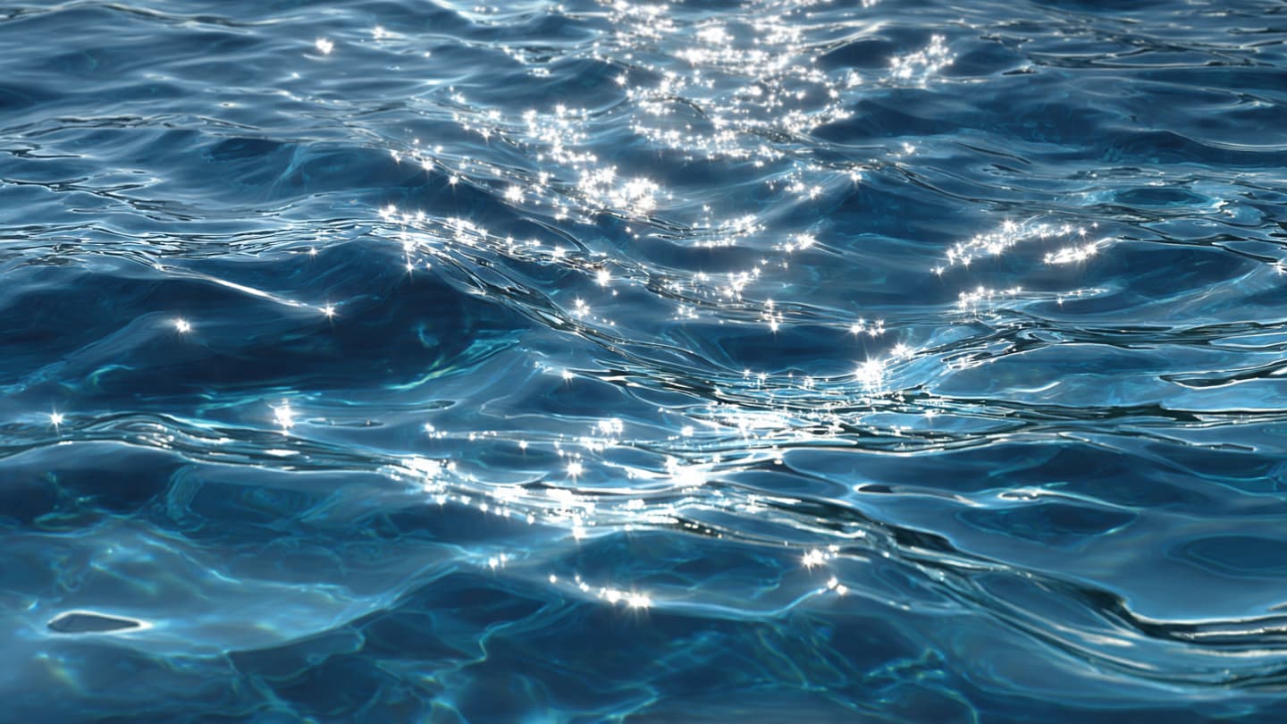 Where the Sea Surrenders Its Salt, Finding the Pulse of Freshwater Beneath the Tide