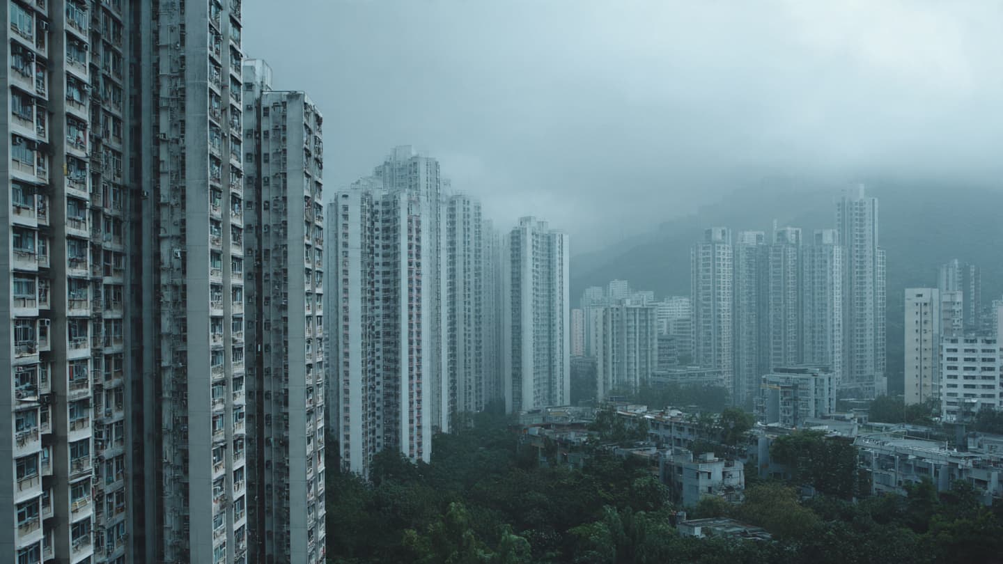 Where the Ledger Fractures, Reflections on the Silent Erosion of the Estate’s Shared Trust