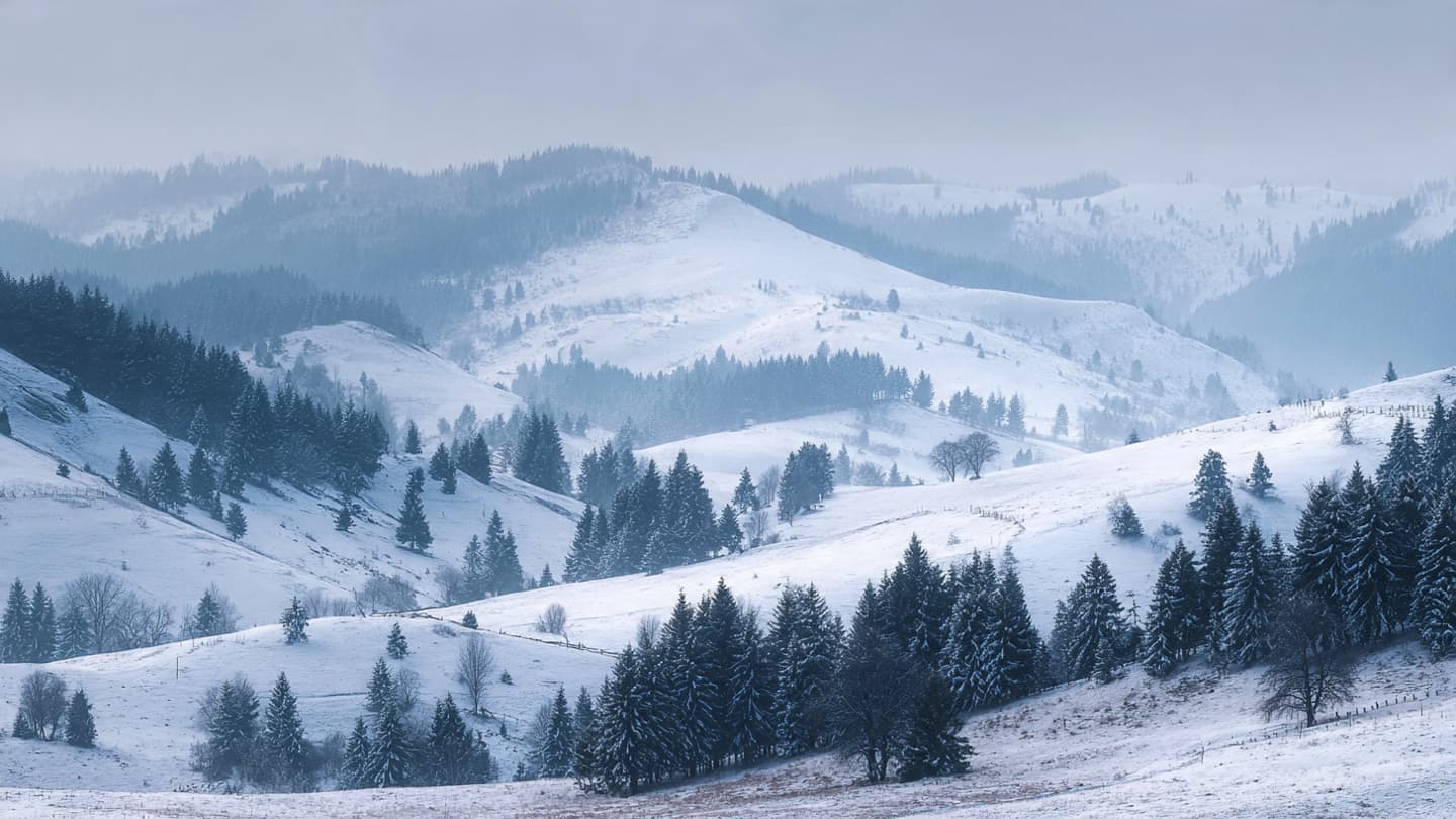 The Silver Veil of an Ancient Range, Shifting Patterns of Light Across the Slope