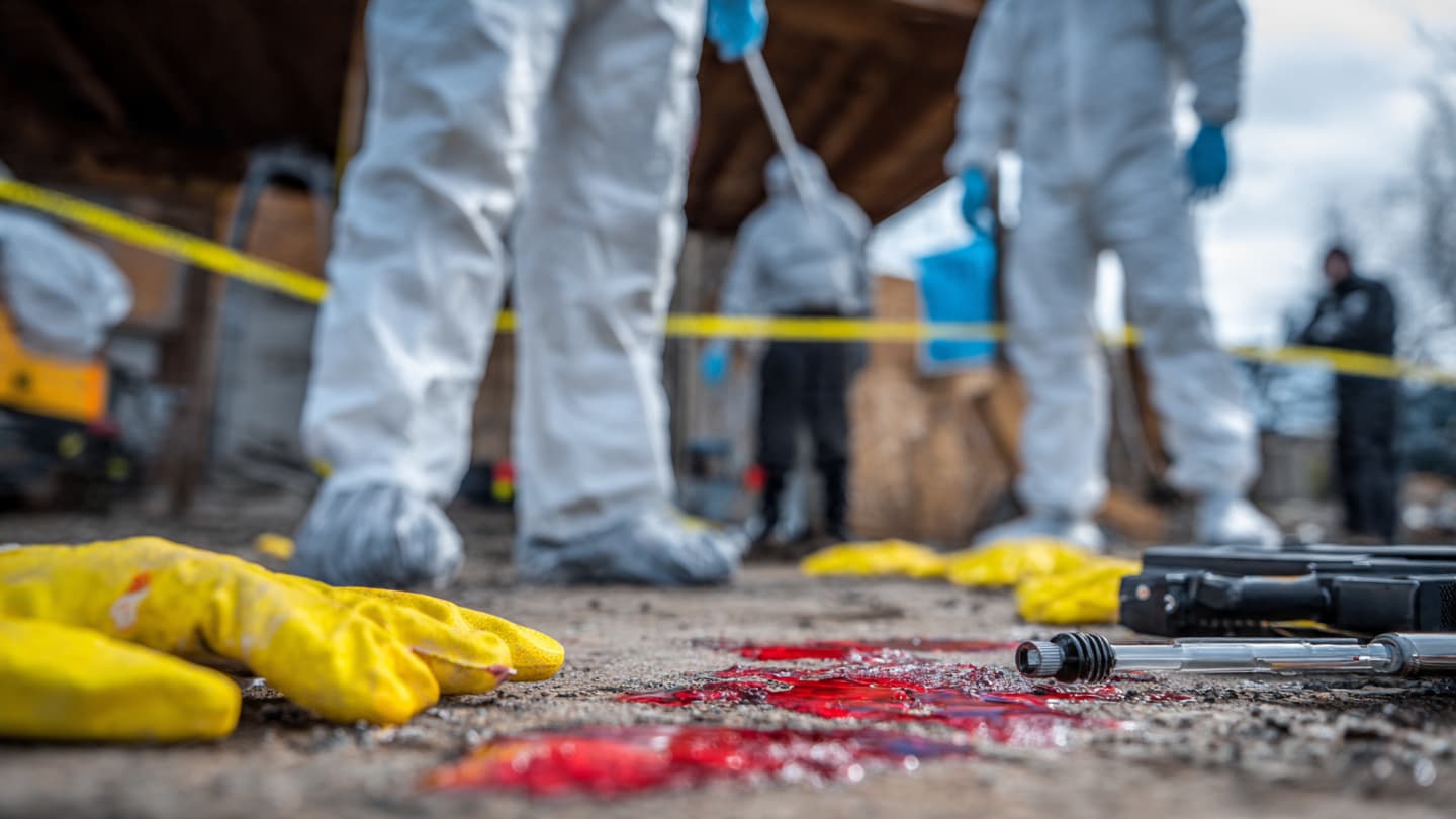 A Careful Reconstruction Seeks Clarity in a Case Under Investigation