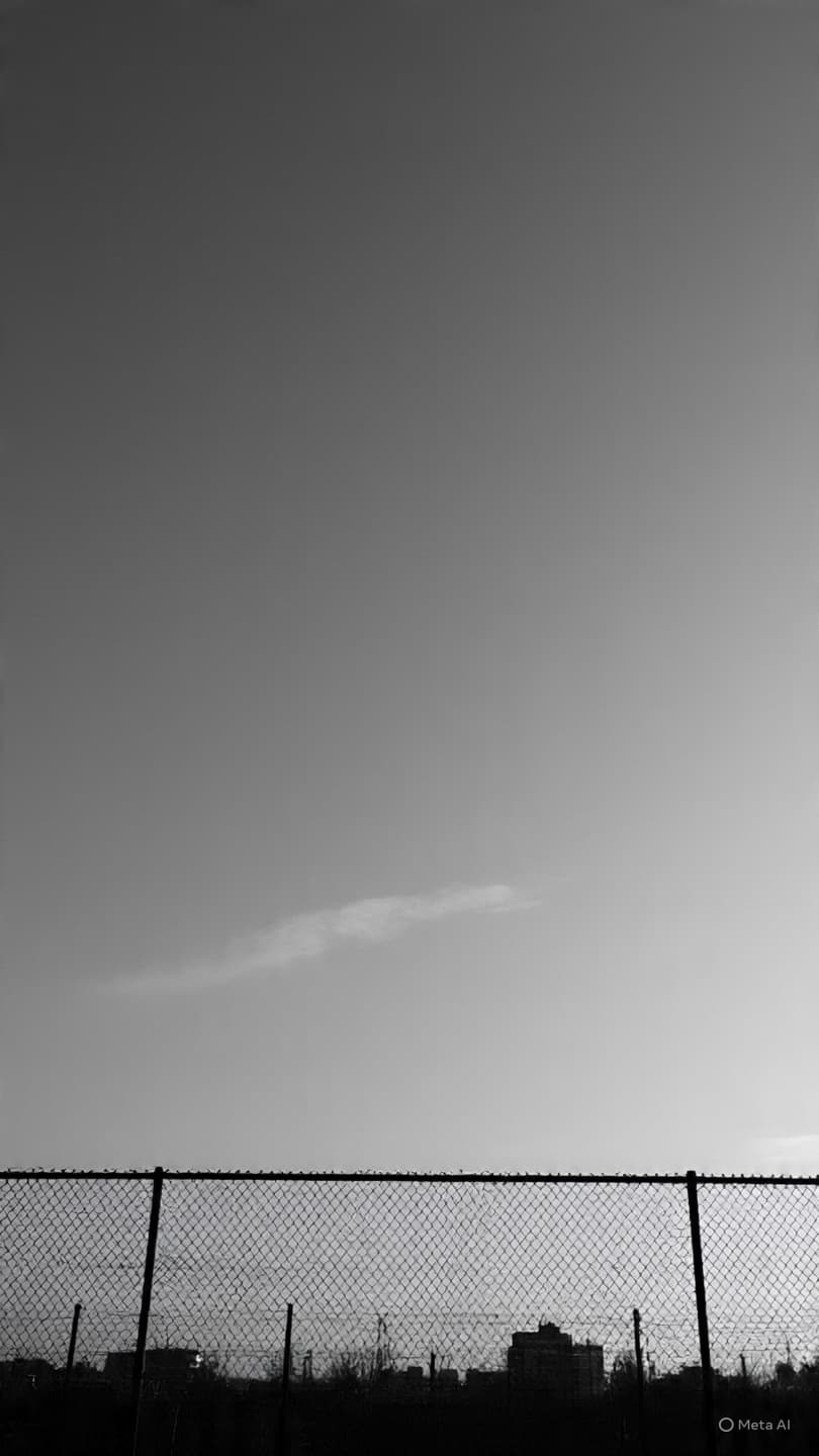 Between The Law And The Hierarchy: Tracing The Struggles For Power In The Dark