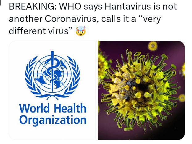 Hantavirus