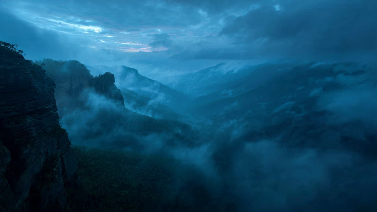 Where the Mist Meets the Ironbark, The Long Vigil for a Lost Wanderer’s Footsteps