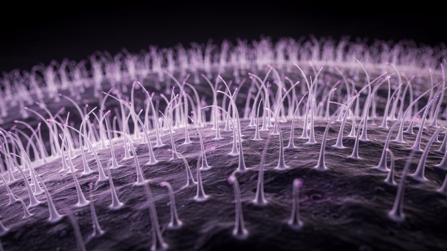 The Living Trace of the Ciliated Cell: Seeking the Rhythm of the Microscopic Oar