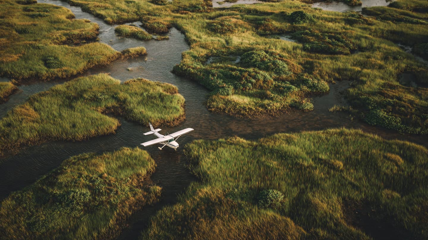 Where the Sawgrass Parted for a Falling Wing, A Quiet Vigil Near the Everglades